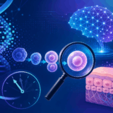 DeepMindのAIが老化逆転20件発見｜半年→数日